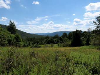 picture taken during a hike