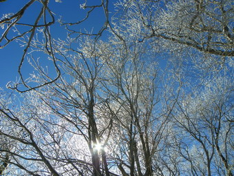 picture taken during a hike