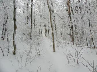 picture taken during a hike