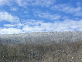 picture taken during a hike