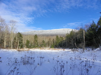 picture taken during a hike