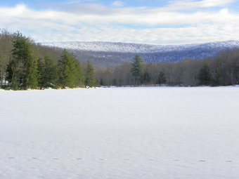 picture taken during a hike