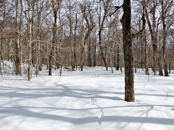 picture taken during a hike