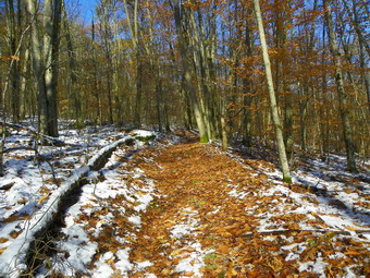 picture taken during a hike