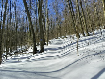 picture taken during a hike