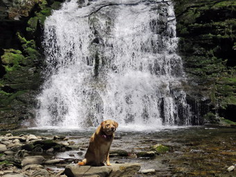 picture taken during a hike