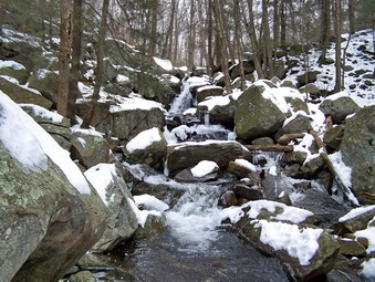 picture taken during a hike