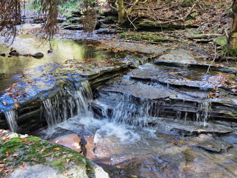 picture taken during a hike