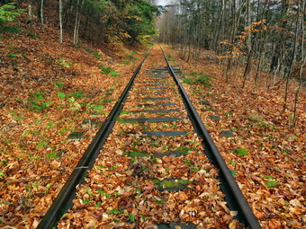 picture taken during a hike