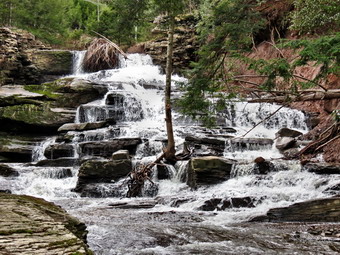 picture taken during a hike