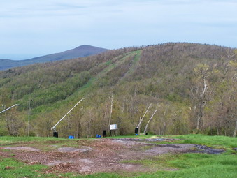 picture taken during a hike