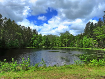 picture taken during a hike