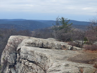 picture taken during a hike