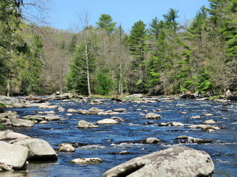 picture taken during a hike