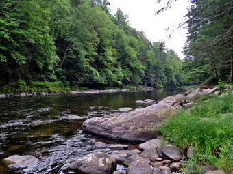 picture taken during a hike