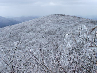 picture taken during a hike