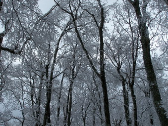 picture taken during a hike