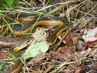 picture taken during a hike