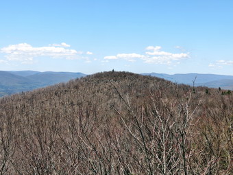 picture taken during a hike