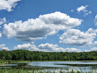 picture taken during a hike