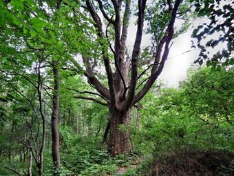 picture taken during a hike