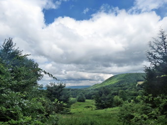 picture taken during a hike