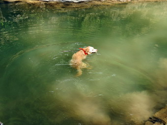 picture taken during a hike