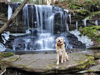 picture taken during a hike