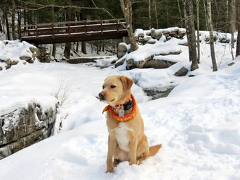 picture taken during a hike