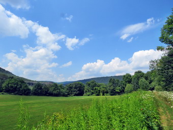 picture taken during a hike