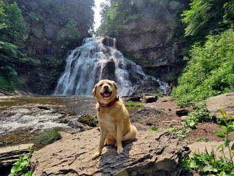 picture taken during a hike