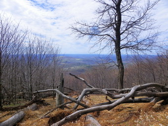 picture taken during a hike