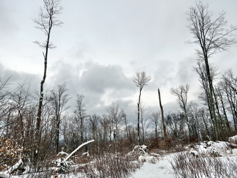 picture taken during a hike