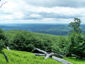 picture taken during a hike