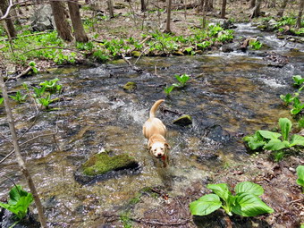 picture taken during a hike