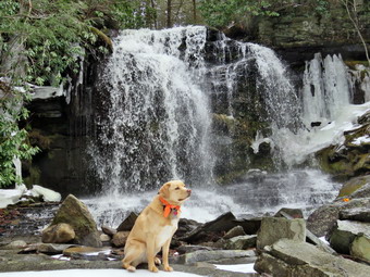 picture taken during a hike