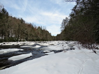 picture taken during a hike