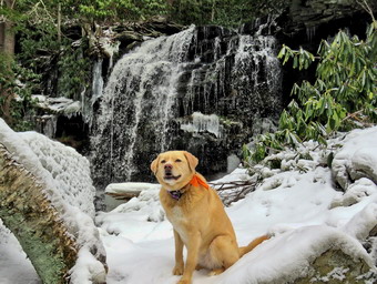 picture taken during a hike