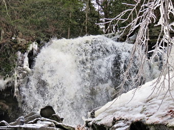 picture taken during a hike