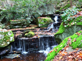 picture taken during a hike