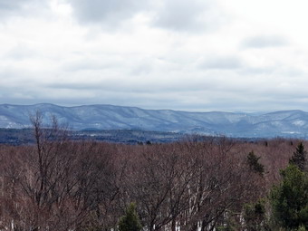 picture taken during a hike