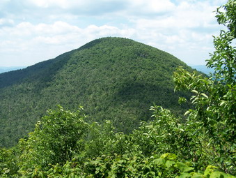 picture taken during a hike