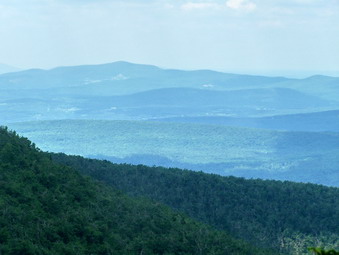 picture taken during a hike