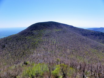 picture taken during a hike