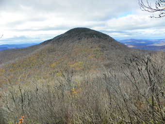 picture taken during a hike