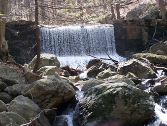 picture taken during a hike