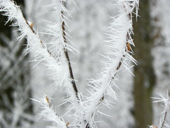 picture taken during a hike