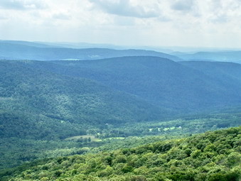 picture taken during a hike