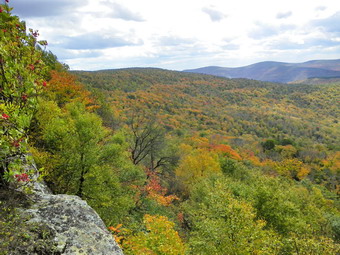 picture taken during a hike