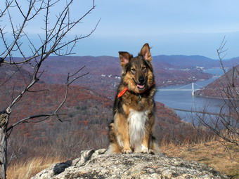 picture taken during a hike